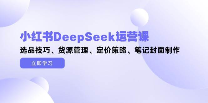 小红书DeepSeek运营课，选品技巧、货源管理、定价策略、笔记封面制作好项目网-专注分享网络创业项目落地实操课程 – 全网首发_高质量创业项目输出好项目网