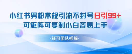 小红书男粉常规引流不封号日引99+变现简单 可矩阵可复制小白容易上手好项目网-专注分享网络创业项目落地实操课程 – 全网首发_高质量创业项目输出好项目网