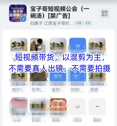 宝子哥头部团队短视频带货，以混剪为主，不需要真人出镜，不需要拍摄好项目网-专注分享网络创业项目落地实操课程 – 全网首发_高质量创业项目输出好项目网